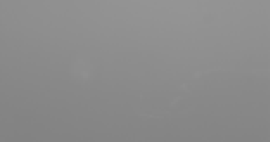 A falling water drop splashes and radiates perfect circles outward. Gentle rings ripple across a still water surface. Can be used as background or element for design projects. 