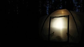 Silhouettes of children create playful shadow puppets inside a glowing tent during nighttime in the forest, capturing a fun and creative moment of outdoor adventure - Powered by Shutterstock - Get 15% off with code: PIKWIZARD15