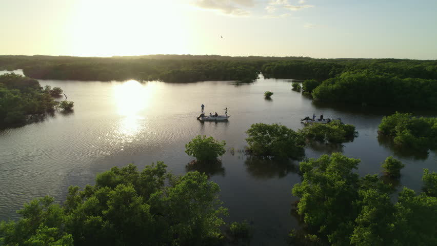 Aerial drone shot flying over Campeche mangroves at sunset with traditional fishing boats on the water.