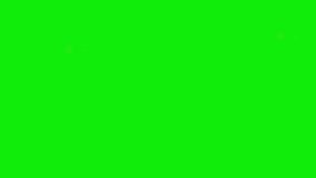 The falling light resembles the movement of rain. Stars twinkling motion from top to bottom, with green screen background. - Powered by Shutterstock - Get 15% off with code: PIKWIZARD15