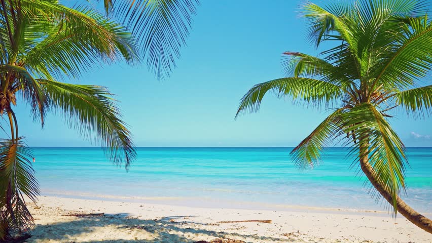 A beautiful tropical beach with white sand, green palm trees, and a turquoise ocean. A backdrop of blue sky on a sunny summer day. The perfect landscape for a relaxing holiday. Maldives beach.