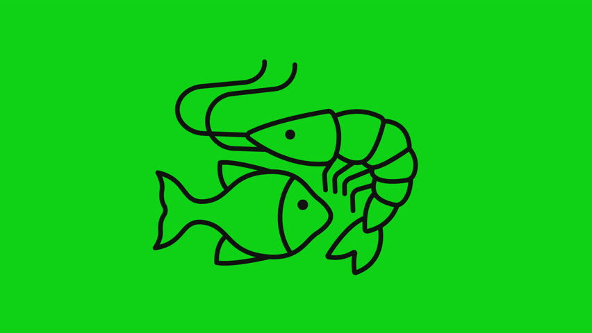 Seafood icon animation. Fish and shrimp outline icon on green screen background