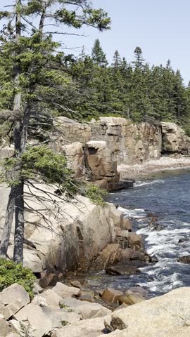 Green Pine Tree Forest Along Rocky Cliff Blue Ocean Sea Waves Crashing Rocks Thunder Hole Acadia National Park Maine USA