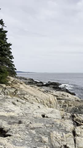 Pine Trees Rocky Cliff Waves Ocean Sea Shore Coast Cloudy Skies Rocks Mount Desert Thunder Hole Acadia National Park Maine USA