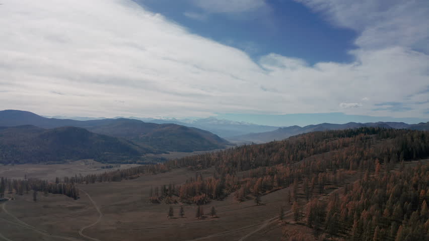 Aerial view of autumn mixed forest in the mountains in bright sun. Aerial drone view Altai Mountains with snow-capped mountain peaks on background. Forward Flight approach drone shot