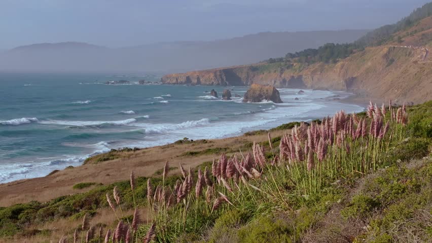 Scenic California coast with sea stacks and flowers along Highway 1