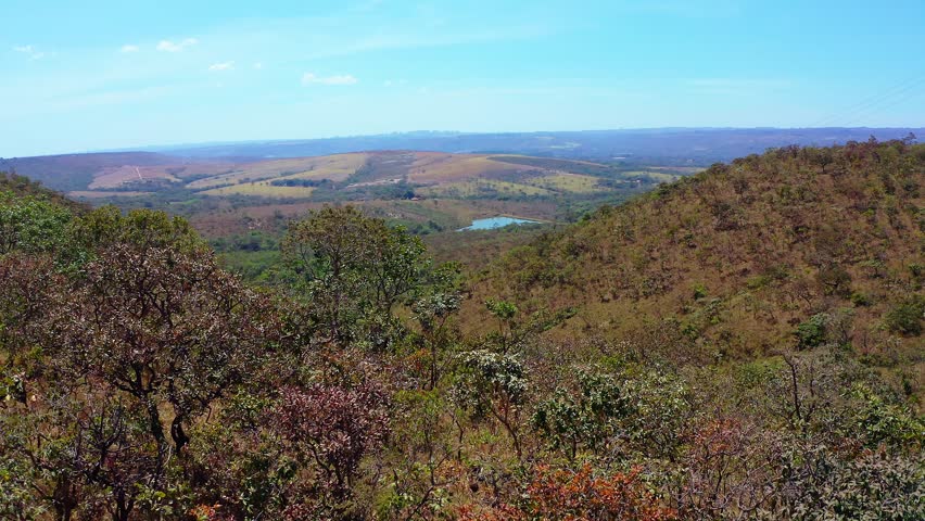 Cerrado landscape revealing turquoise water springs pooling amid golden grasslands under bright azure sky, showcasing Brazilian wilderness