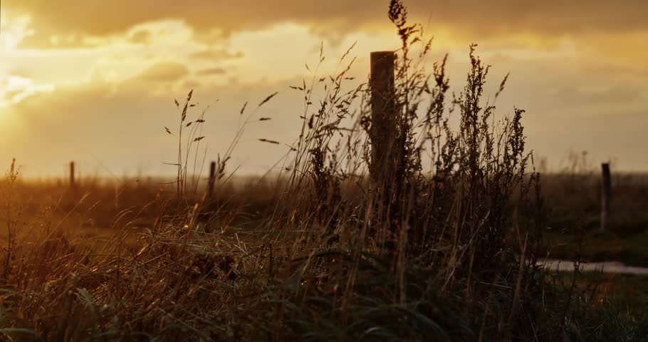 This image depicts a rural landscape at sunset, featuring a dirt path leading through a grassy field enclosed by a simple wooden fence. The sky is filled with golden hues and scattered clouds.