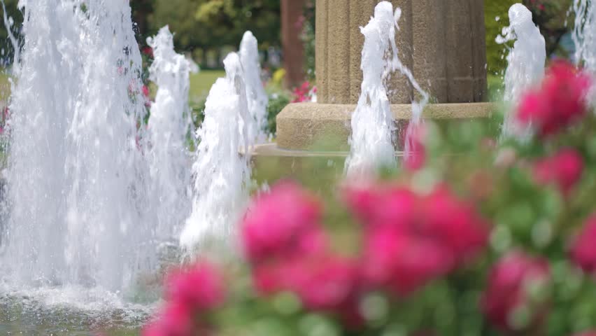 The fountain seen through the red roses at Yamashita Park.
Yokohama City, Kanagawa Prefecture, Japan