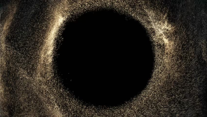 A captivating 3D render of a dark, abstract void surrounded by a dynamic, swirling vortex of shimmering golden particles, creating a hypnotic and seamless loop.