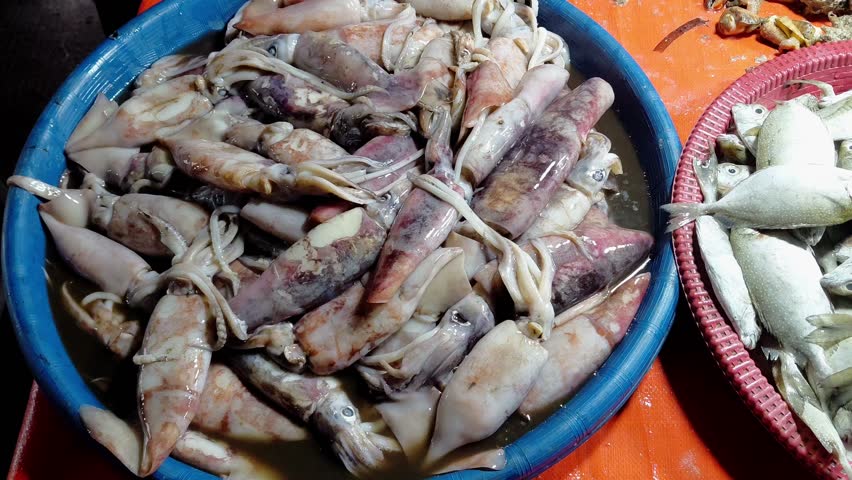 Close-up of fresh squids and fish on display at a local seafood market, clean b-roll for commercial use, reflecting food industry, culinary culture, and sustainable fishing.
