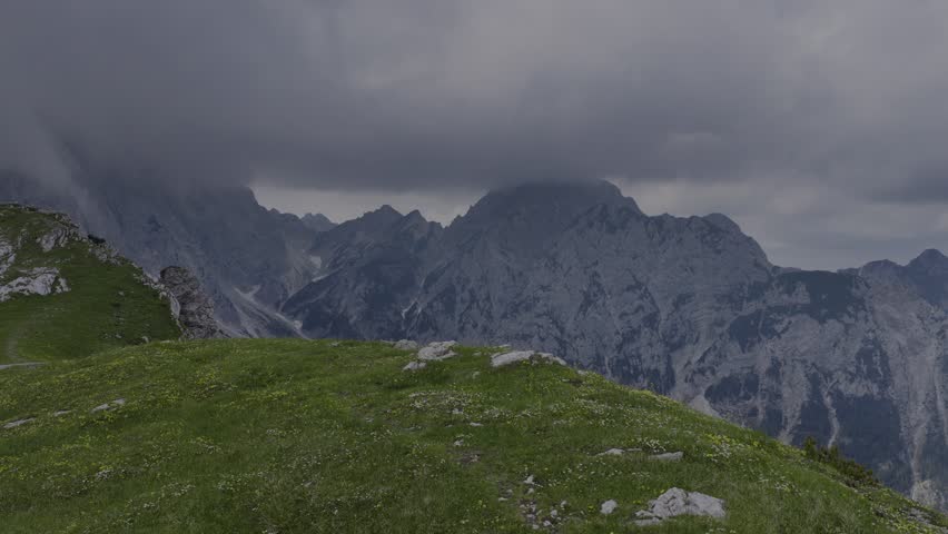Hiking Trail with Flowers; A hiking path cutting through a meadow full of wildflowers, overlooking gray mountain peaks under heavy clouds.