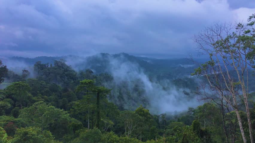 Highland Foggy Landscape of the Meratus mountains, Tropical Rainforest of Borneo, Indonesia.