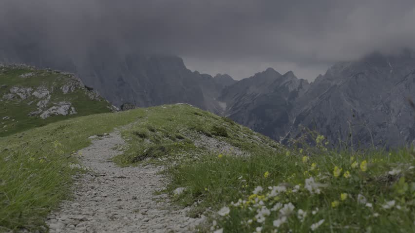 Hiking Trail with Flowers; A hiking path cutting through a meadow full of wildflowers, overlooking gray mountain peaks under heavy clouds.