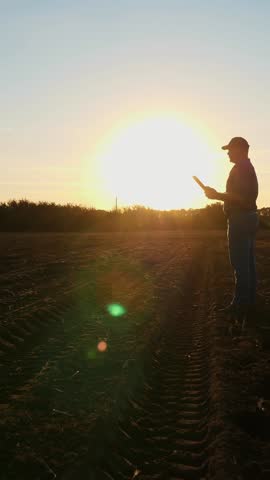 Farmer silhouette. farmer works on a digital tablet. outdoors, on agricultural field, at sunset. in backlight. farming