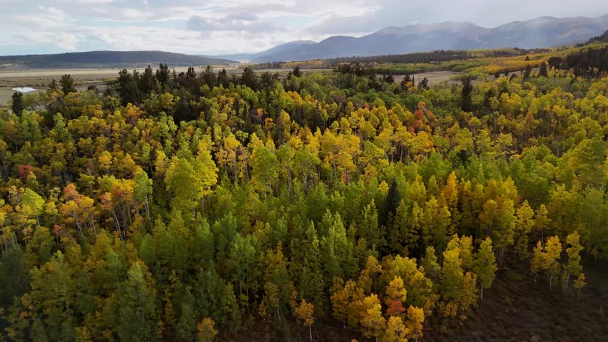 Drone footage capturing a scenic flight over colorful autumn forest and rugged mountain peaks under a blue sky. Vibrant fall foliage creates a peaceful and majestic natural view.