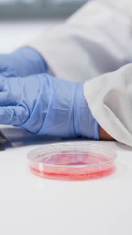Vertical Video Researcher inspects Petri dish with magnifying glass during lab experiment. Cellular investigation and molecular biology analysis support genetics research and advanced medical science