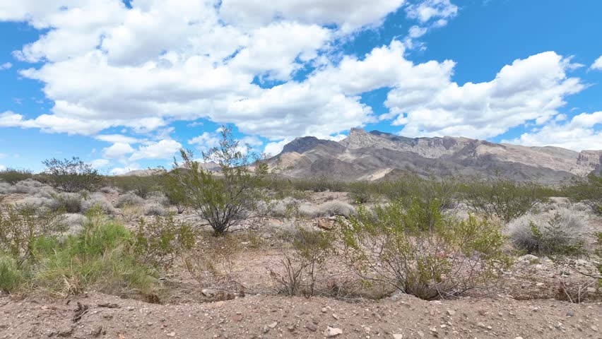 Desert Landscape Tracking Shot with Mountains and Blue Sky in Nevada. 3D Illustration