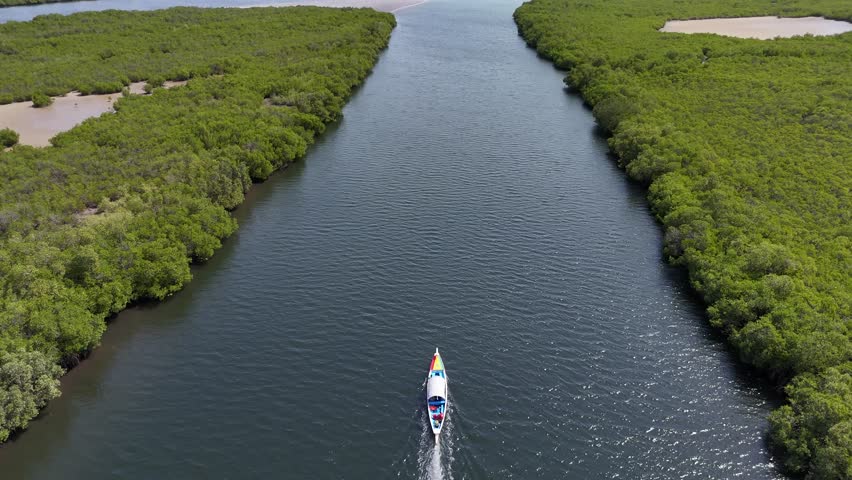 Drone aerial view of a boat cruising through mangrove channels in Sine Saloum Delta, Senegal. Scenic natural wetlands, tropical landscape and eco tourism travel.