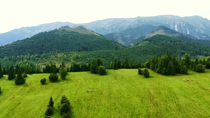 Scenic aerial view of lush green meadows, rolling hills, and forested mountains in Slovakia, captured by drone on a bright summer day.
