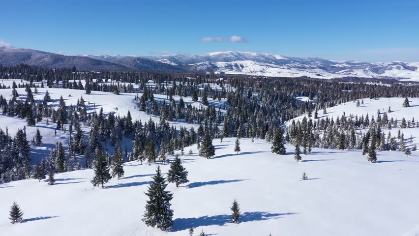  Winter aerial slow motion view of snow covered fir trees and forest in the mountains