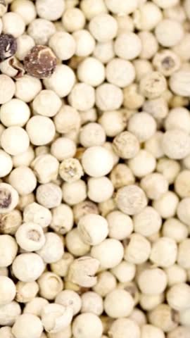 White pepper top view. Heap of white peppercorn. Indian spices, cooking ingredient. Pepper, spice texture. Dried white pepper background. Organic seeds background. Masala spices.  
