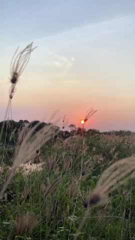 Sunset view on the river