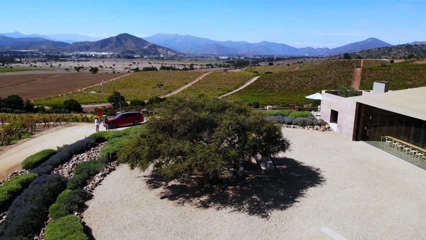 Aerial view of modern winery building and vineyard