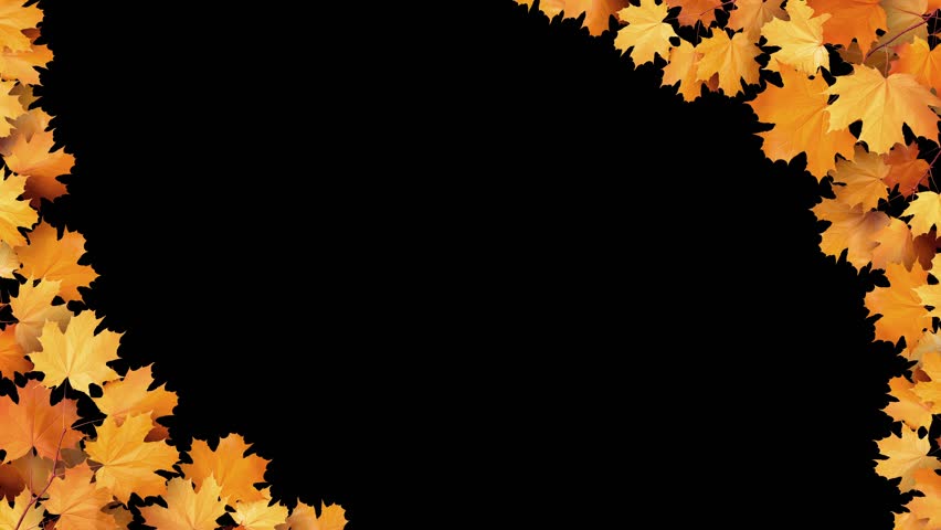 Static oblique frame of vibrant orange and yellow autumn maple leaves creating a border against a black background. Ideal for seasonal titles or graphics