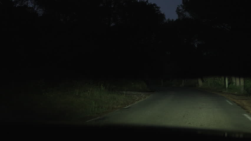 Empty rural road through forest at night lit by car headlights with deep shadows and trees