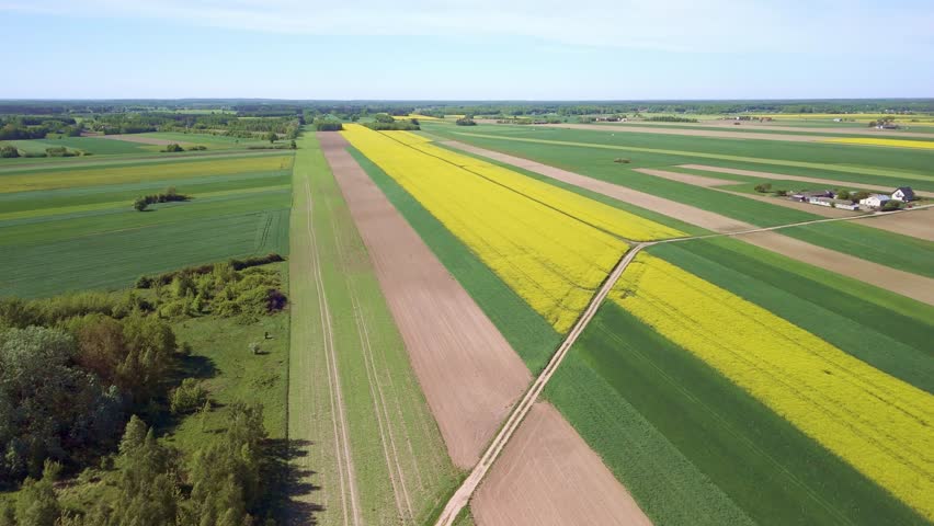 Drone aerial view of farmland with green fields, forests, and scattered houses on a sunny day, perfect for nature, countryside, and ecological themes.
