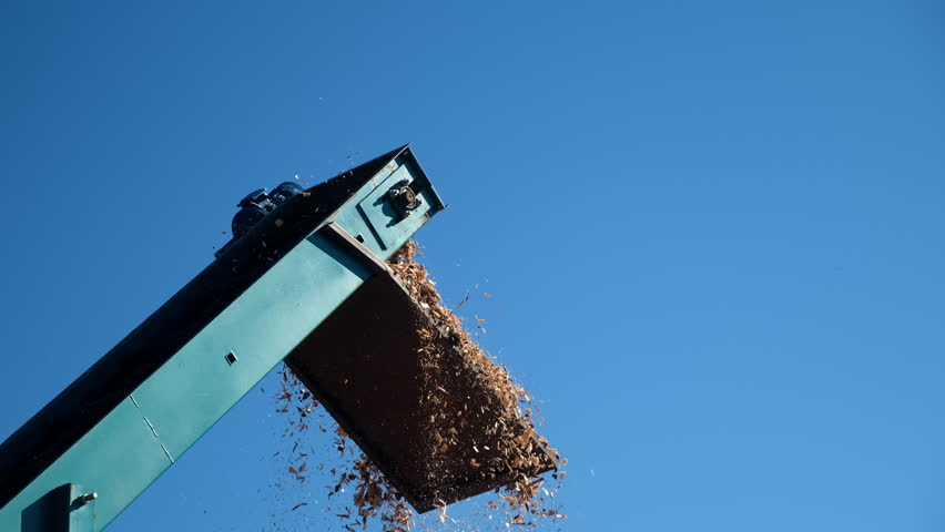 Wooden sawdust splinters pour out of chopping machine pipe against sky at woodworking plant. Timber processing and woodworking industry. Working process sawing splinters outdoors on saw-mill.
