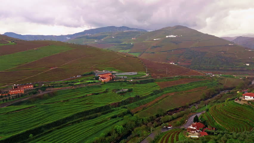 Aerial view cultivated hills form ordered terraces on beautiful green slopes. Hillside fields create geometric landscape under cloudy sky. Small farms scattered at picturesque countryside nature.