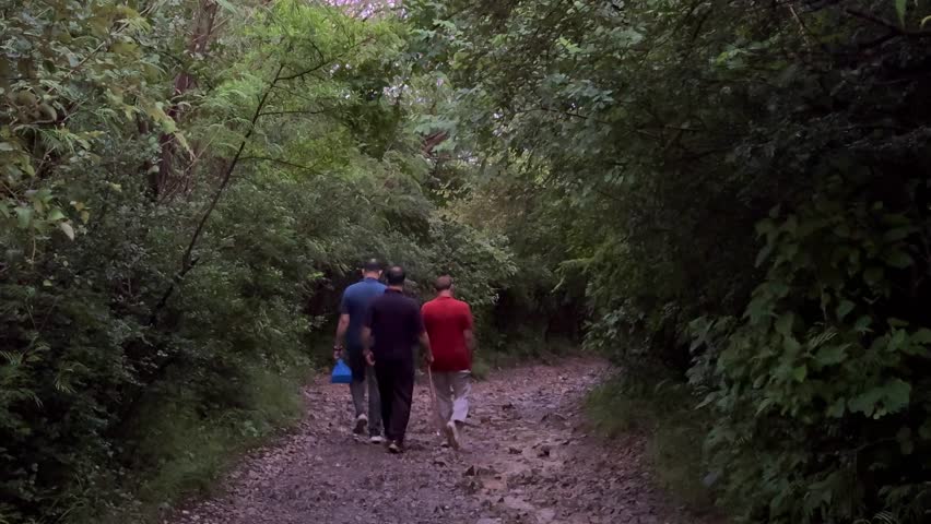 People walking on forest trail surrounded by green trees and amazing nature view. Amazing forest landscape with people walking along green nature hiking trail.