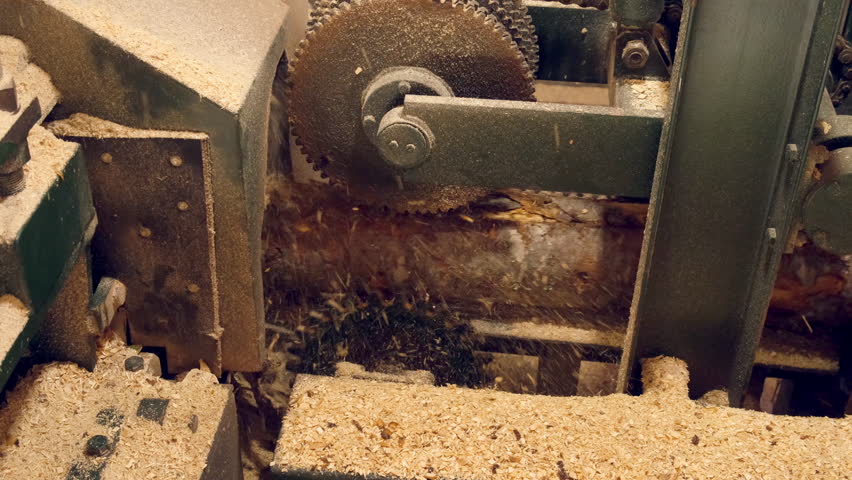 Logs moving on conveyer transporter to cutting machine at woodworking plant. Timber processing and woodworking industry. Working process sawing wood boards on saw-mill factory in cut workshop.