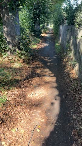 Hiking trail with leaves in autumn