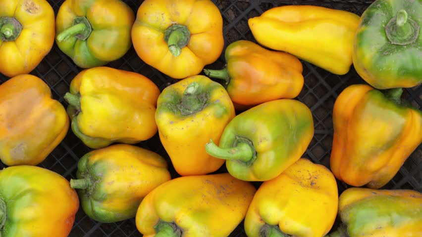 overhead view of yellow pepper paprika top view