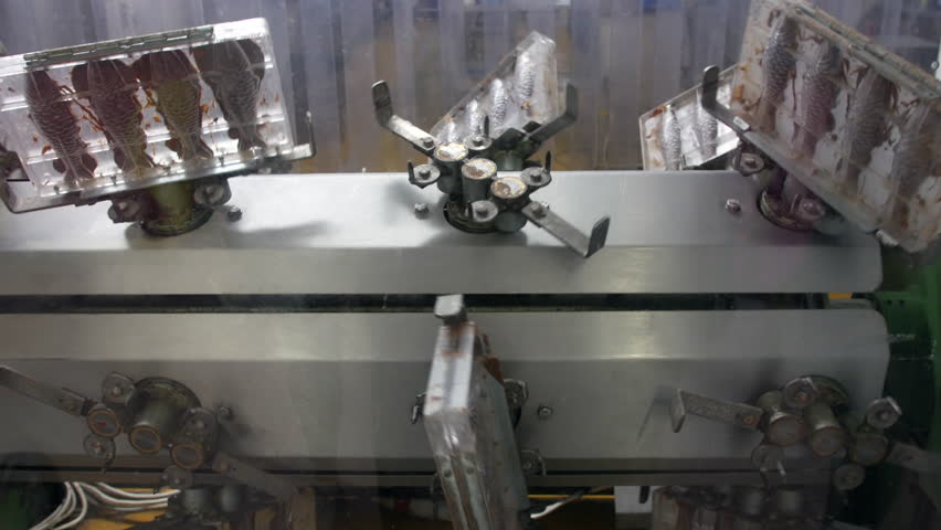 A chocolate molding machine rotates clear trays filled with fish-shaped chocolates. The molds are coated and set as part of the production process in the sweet factory