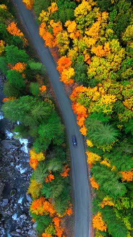 Top down view of cars driving along the road among the autumn forest