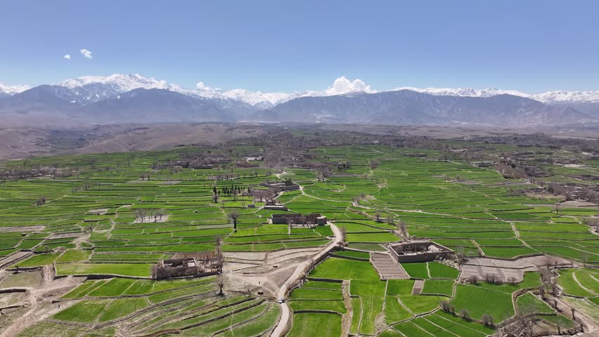 Afghanistan Drone Aerial over Nangahar, Nuristan, Panorama Of Lush Green, Terraced farm Fields With Hindu Kush Mountains In The Distance at Clear Blue Sky. - aerial shot