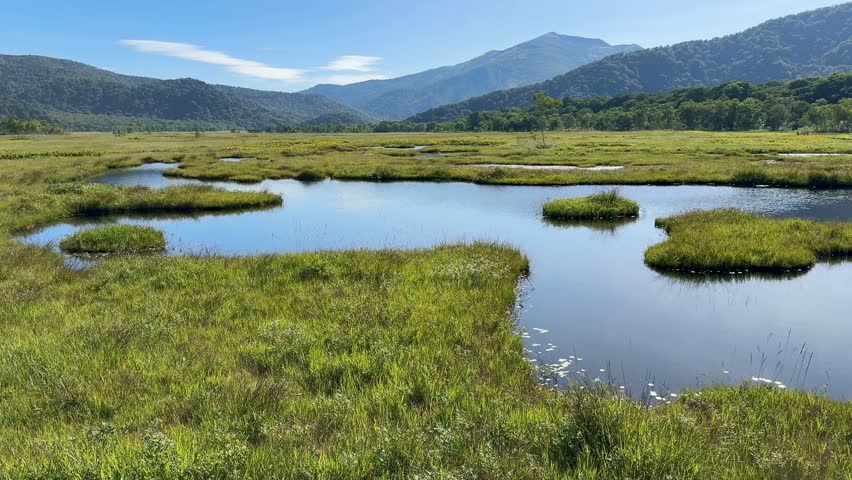 Ozegahara Marshland in Japan with Wooden Walkways, Clear Streams, and Scenic Wetlands Surrounded by Mountains in Summer, Oze National Park, Gunma and Fukushima