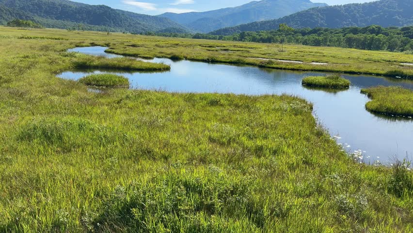 Ozegahara Marshland in Japan with Wooden Walkways, Clear Streams, and Scenic Wetlands Surrounded by Mountains in Summer, Oze National Park, Gunma and Fukushima