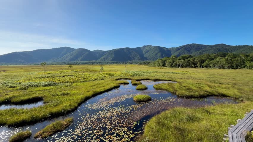 Ozegahara Marshland in Japan with Wooden Walkways, Clear Streams, and Scenic Wetlands Surrounded by Mountains in Summer, Oze National Park, Gunma and Fukushima