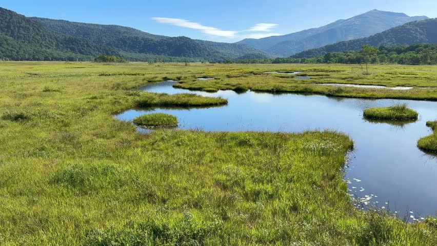 Ozegahara Marshland in Japan with Wooden Walkways, Clear Streams, and Scenic Wetlands Surrounded by Mountains in Summer, Oze National Park, Gunma and Fukushima