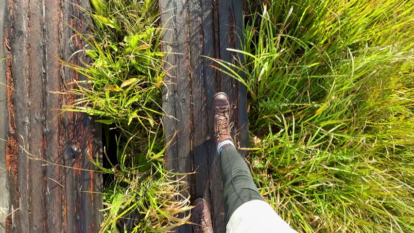 Ozegahara Marshland in Japan with Wooden Walkways, Clear Streams, and Scenic Wetlands Surrounded by Mountains in Summer, Oze National Park, Gunma and Fukushima