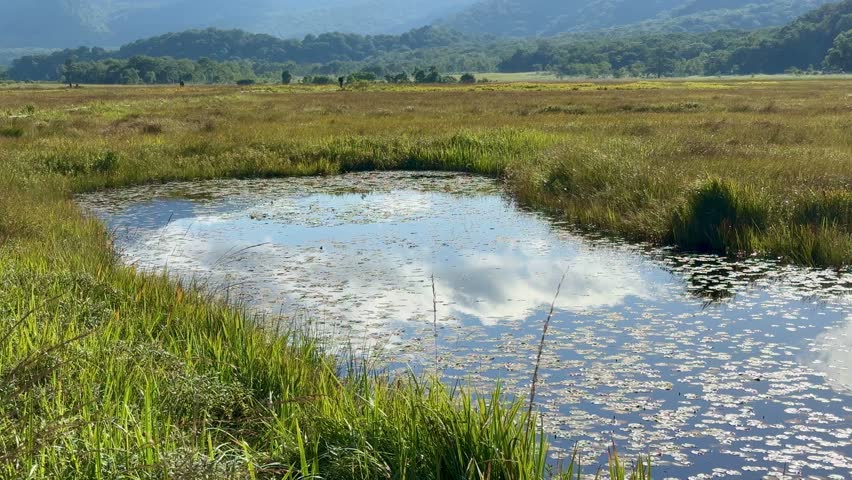 Ozegahara Marshland in Japan with Wooden Walkways, Clear Streams, and Scenic Wetlands Surrounded by Mountains in Summer, Oze National Park, Gunma and Fukushima