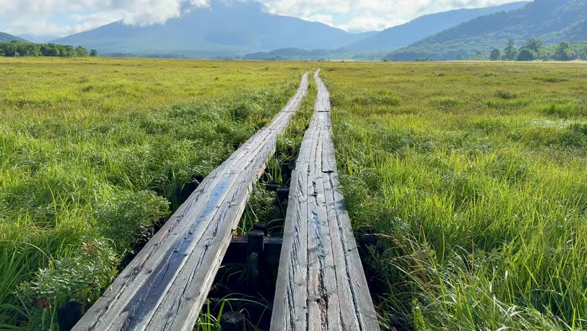 Ozegahara Marshland in Japan with Wooden Walkways, Clear Streams, and Scenic Wetlands Surrounded by Mountains in Summer, Oze National Park, Gunma and Fukushima