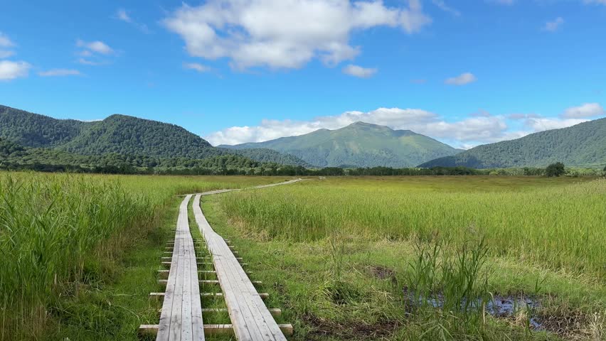 Ozegahara Marshland in Japan with Wooden Walkways, Clear Streams, and Scenic Wetlands Surrounded by Mountains in Summer, Oze National Park, Gunma and Fukushima