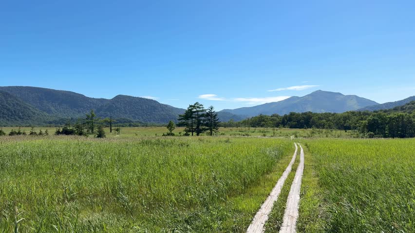 Ozegahara Marshland in Japan with Wooden Walkways, Clear Streams, and Scenic Wetlands Surrounded by Mountains in Summer, Oze National Park, Gunma and Fukushima