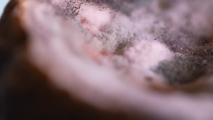 Extreme close-up of spoiled melon with dense black mold spores and white fungal threads covering the surface